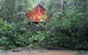 The Canopy Treehouses - thumb 5