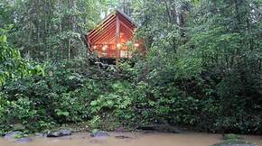 The Canopy Treehouses - Accommodation Australia 5