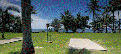 Book Kurrimine Beach Accommodation Vacations Accommodation Australia Accommodation Australia
