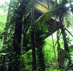 Daintree Eco Lodge And Spa - Local Tourism 1