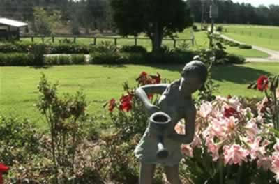 Jacaranda Country Lodge - Local Tourism 2