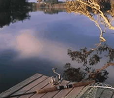 Jacaranda Country Lodge - Local Tourism 4
