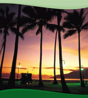 Bay Village Tropical Retreat, Cairns - Australia Shopping 1