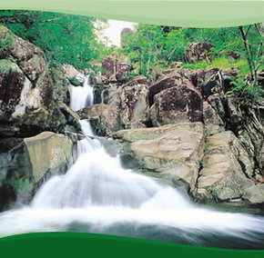 Bay Village Tropical Retreat, Cairns - Australia Shopping 2