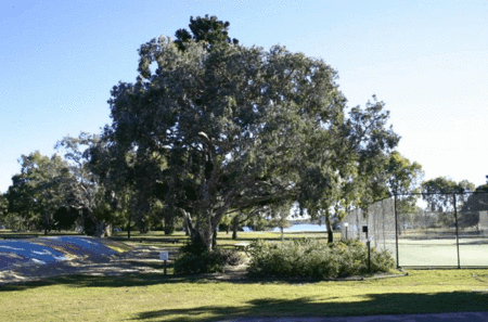 Coolwaters Holiday Village - Accommodation Australia 5