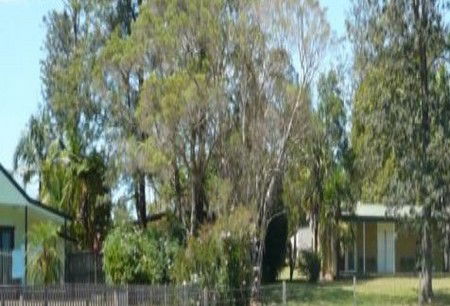 Nimbin NSW Accommodation Australia