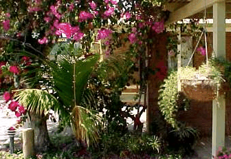 Denham Villas - Local Tourism