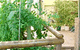 Denham Villas - thumb 1