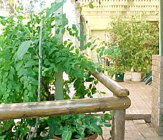 Denham Villas - Accommodation Australia 1