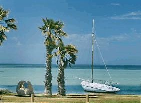 Denham Villas - Accommodation Australia 4