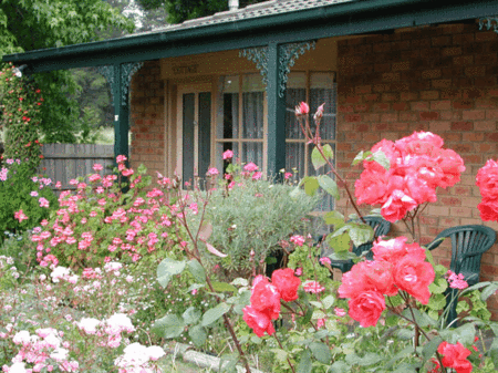 Balnarring Village Motor Inn - Accommodation Australia 5