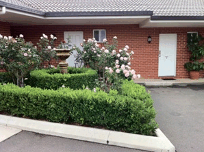 Akuna Motor Inn - Accommodation Australia 4