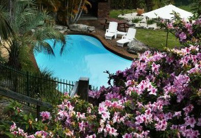 Boambee Palms Bed And Breakfast - Local Tourism 1