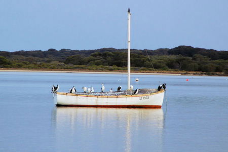 Riverview Cottage - Accommodation Australia 1
