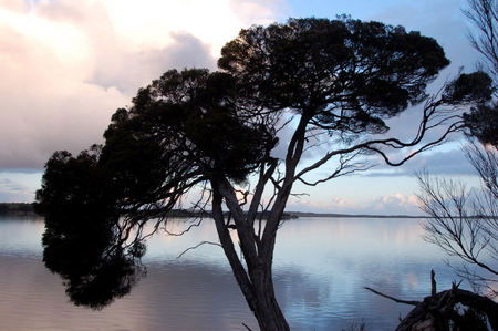 Riverview Cottage - Accommodation Australia 4