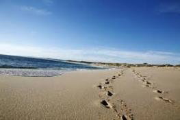 Kalbarri Palm Resort - Australia Shopping 4