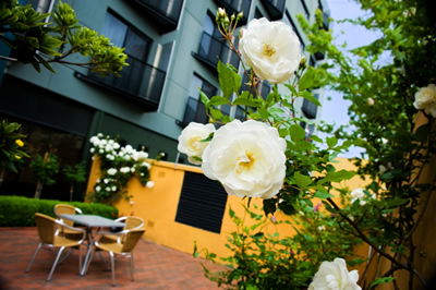 The Old Woolstore Apartment Hotel - Accommodation Australia 5