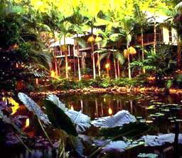 Daintree Eco Lodge And Spa - Local Tourism 3