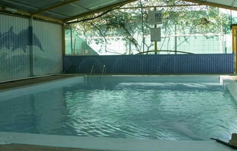 Wycliffe Well Holiday Park - Australia Shopping 1
