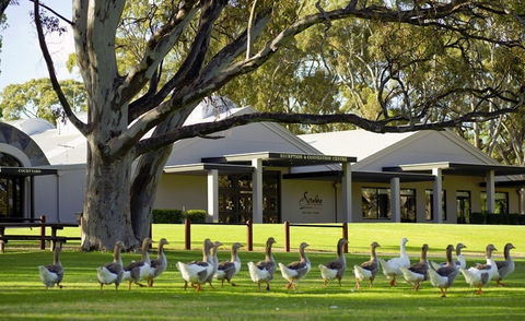 Serafino McLaren Vale - Accommodation Australia 0