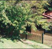 Apple Tree Cottage - Local Tourism