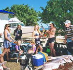 Shark Bay Cottages - Local Tourism