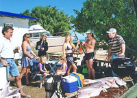Shark Bay Cottages - Local Tourism 0