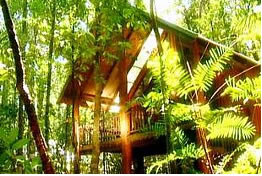 The Canopy Treehouses - Accommodation Australia 0
