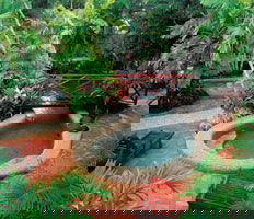 City Oasis Inn - Accommodation Australia 0
