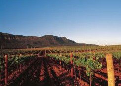 Peppers Guest House Hunter Valley - Australia Shopping 2