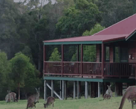 Walpole Wilderness Resort - Local Tourism