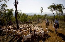 Kroombit Park At Lochenbar Station - Accommodation Australia 1