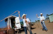 Kroombit Park At Lochenbar Station - Accommodation Australia 3