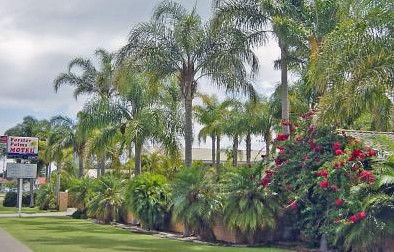 Forster Palms Motel - Accommodation Australia 2