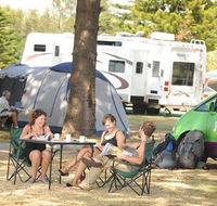 BIG4 Sydney Lakeside Holiday Park - Local Tourism