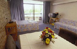Alexandra Serviced Apartments - Local Tourism 1