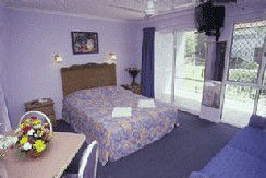 Alexandra Serviced Apartments - Local Tourism 2