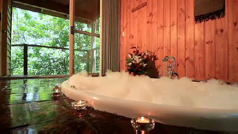 Tree Houses Of Montville - Accommodation Australia 0