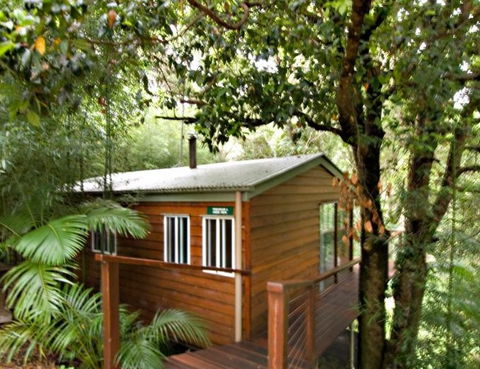 Tree Houses Of Montville - Accommodation Australia 2