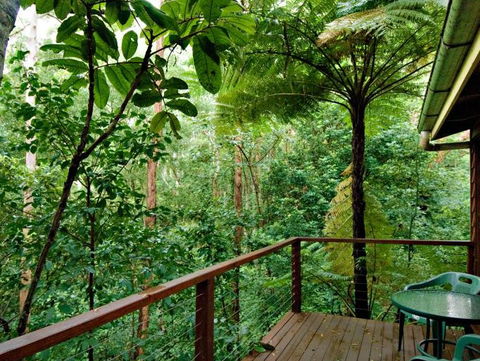 Tree Houses Of Montville - Accommodation Australia 3