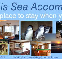 Dennis Sea Accommodation Phillip Island - Local Tourism