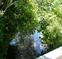 Mole Creek Hotel