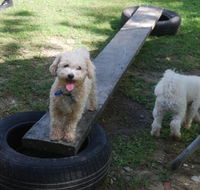 Beenleigh Pet Motel - Local Tourism