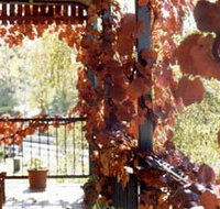 The Vines Motel amp Cottages - Accommodation Australia