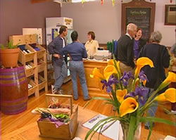 Settlers Ridge Organic Wines - Accommodation Australia 0