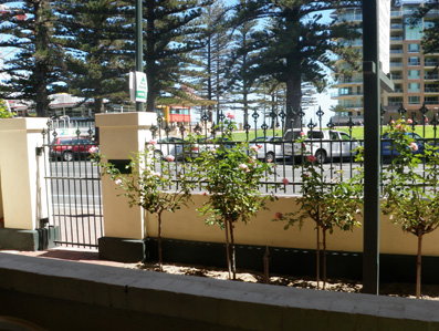 Grandview House Apartments - Local Tourism 5