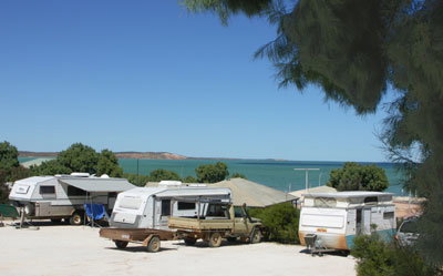 Blue Dolphin Caravan Park And Holiday Village - Local Tourism 0