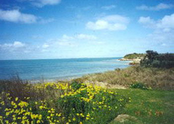 Southern Ocean Tourist Park - Accommodation Australia 1