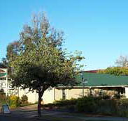 Riverland Motor Inn - Local Tourism