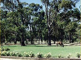 Saratoga Lodge - Accommodation Australia 0
